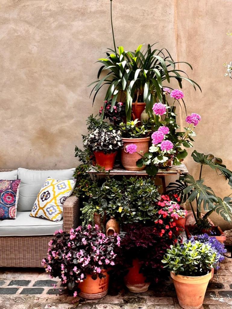 Oliva Courtyard Guesthouse Bagian luar foto