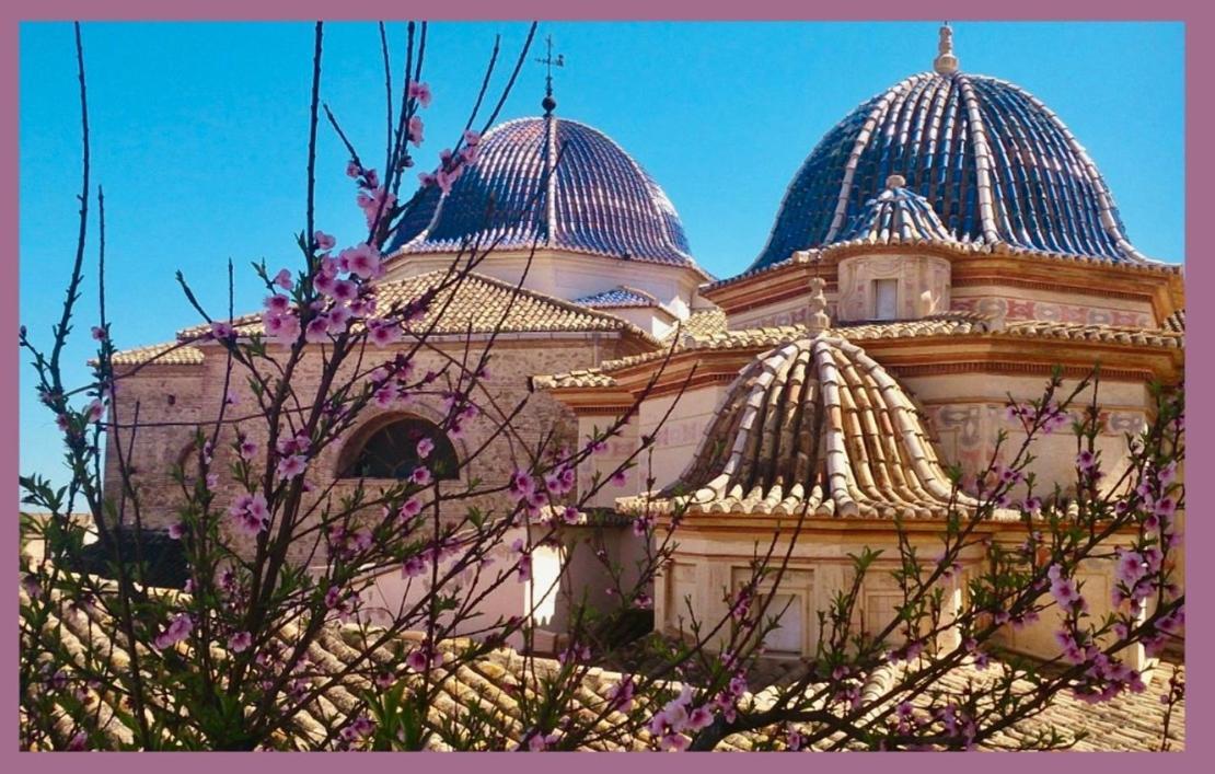 Oliva Courtyard Guesthouse Bagian luar foto